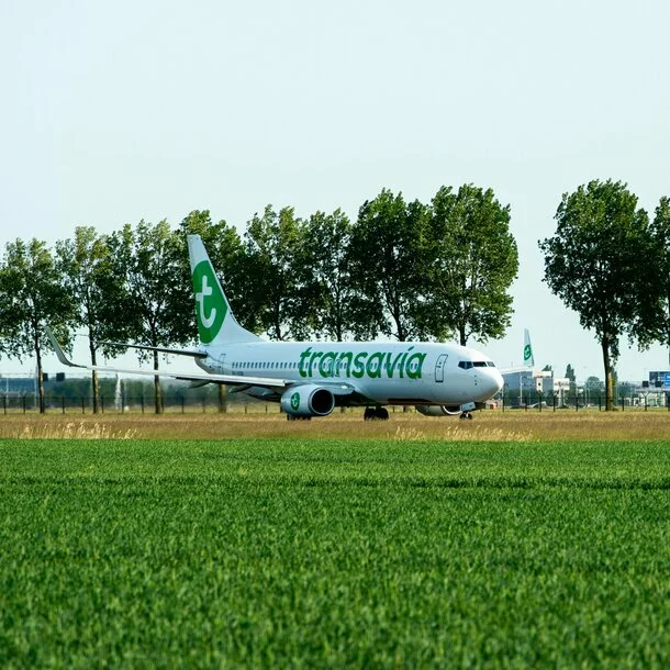 Die Transavia Maschine wurde auf einem Acker geparkt heute wird nicht mehr pünktlich geflogen. 
